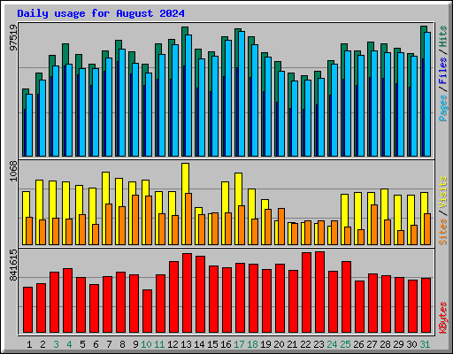 Daily usage for August 2024