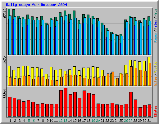 Daily usage for October 2024