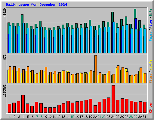 Daily usage for December 2024