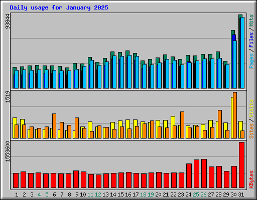 Daily usage for January 2025