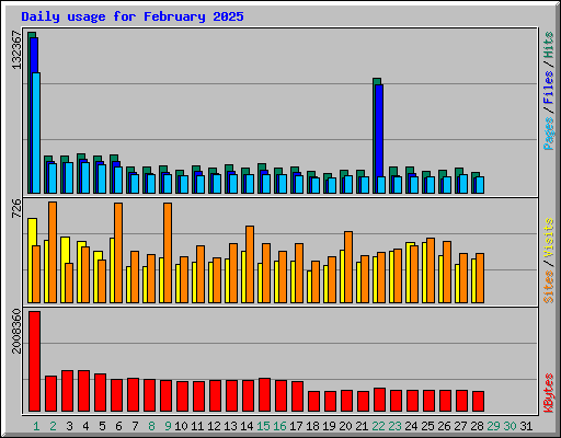 Daily usage for February 2025