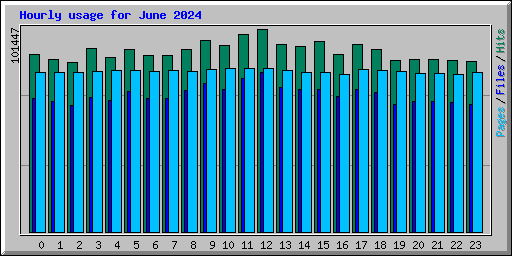 Hourly usage for June 2024