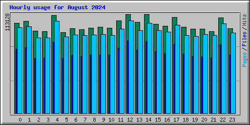 Hourly usage for August 2024