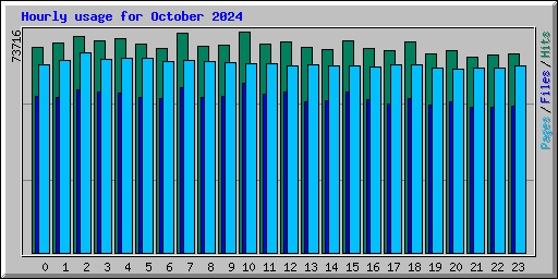 Hourly usage for October 2024