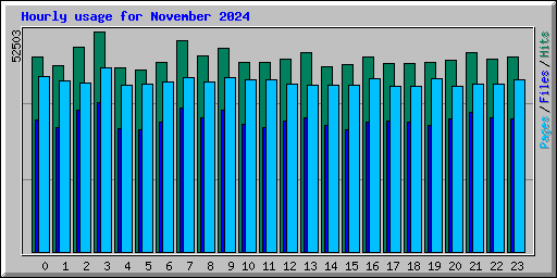 Hourly usage for November 2024