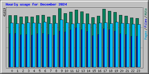 Hourly usage for December 2024