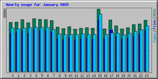 Hourly usage for January 2025