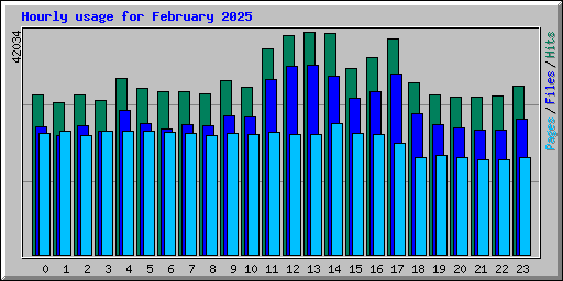 Hourly usage for February 2025