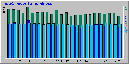 Hourly usage for March 2025