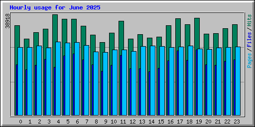Hourly usage for June 2025