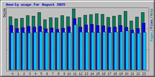 Hourly usage for August 2025